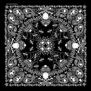 BD2514 Bandana Paisley GS Skeletal