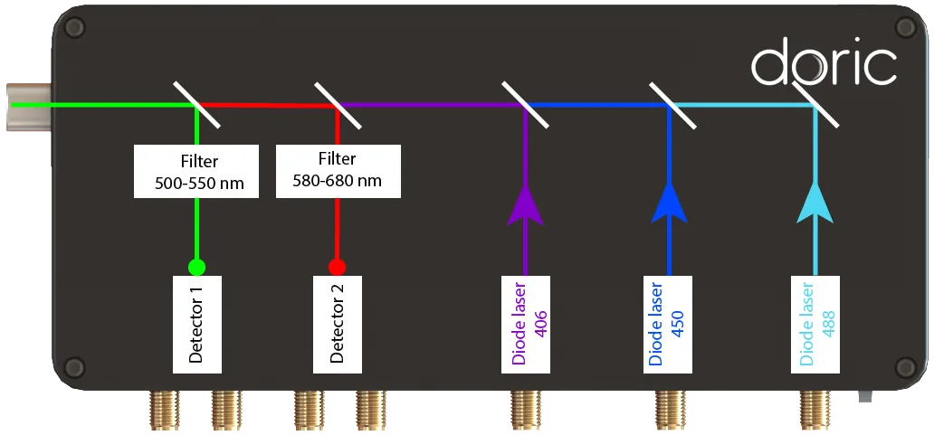 FluoPulse™ system